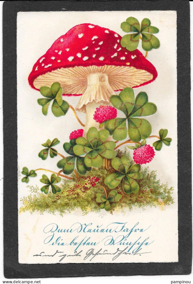 CHAMPIGNON Et Fleurs De Trèfle - Mushrooms