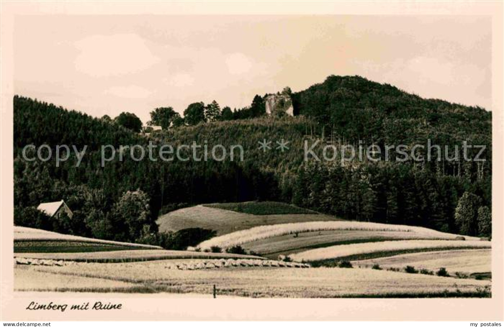 72868632 Limberg Cottbus Mit Ruine Limberg Cottbus - Kolkwitz