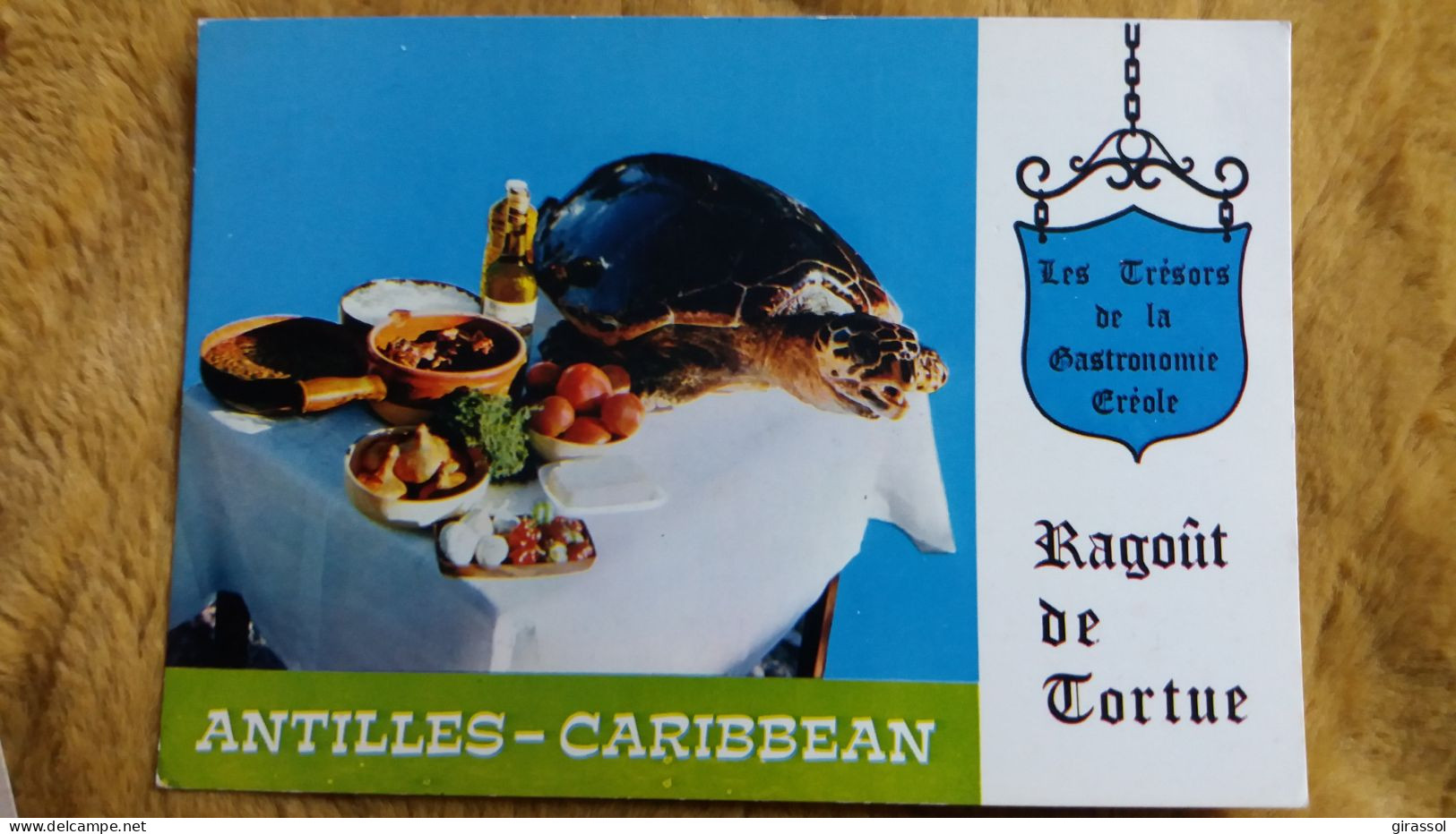 CPM RECETTE DU RAGOUT DE TORTUE ANTILLES CARAIBES TRESORS DE LA GASTRONOMIE CREOLE - Turtles