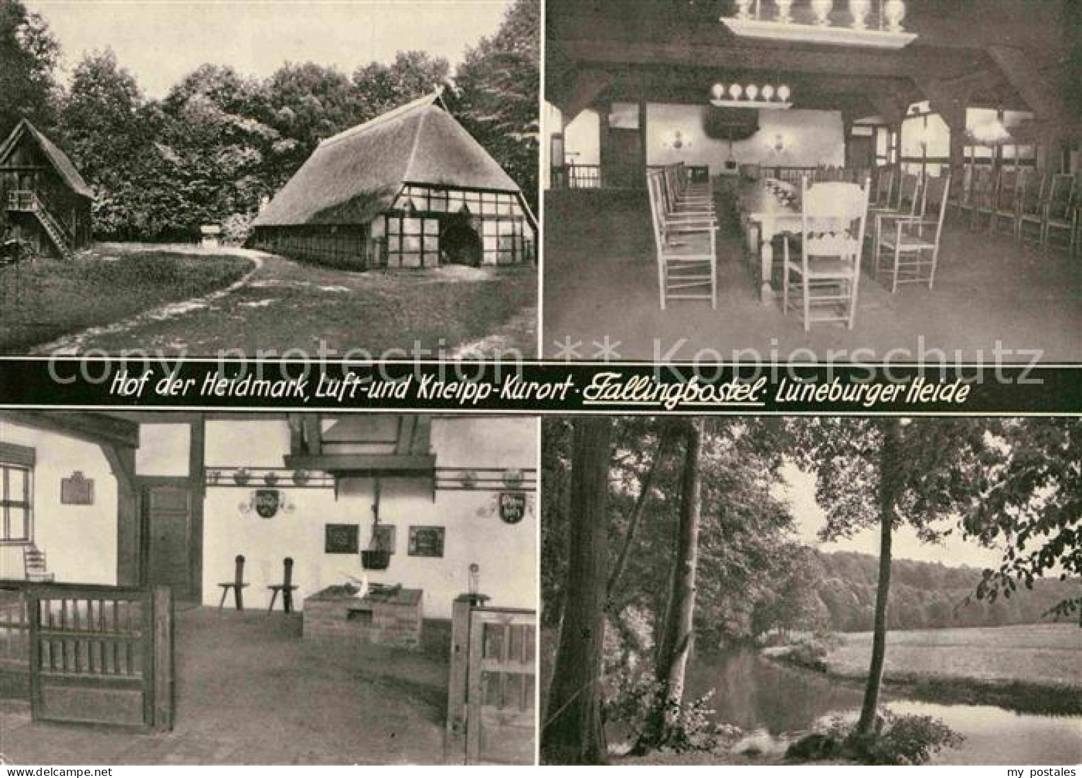 72867380 Fallingbostel Hof Der Heidmark  Bad Fallingbostel - Fallingbostel