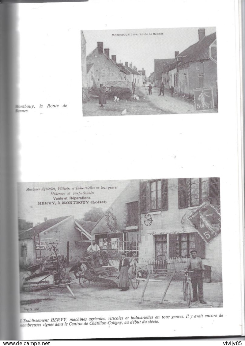 45 - Beau Livre Illustré De Cartes Postales " Balades Aux Environs De CHATILLON-COLIGNY " - 1985 - Centre - Val De Loire