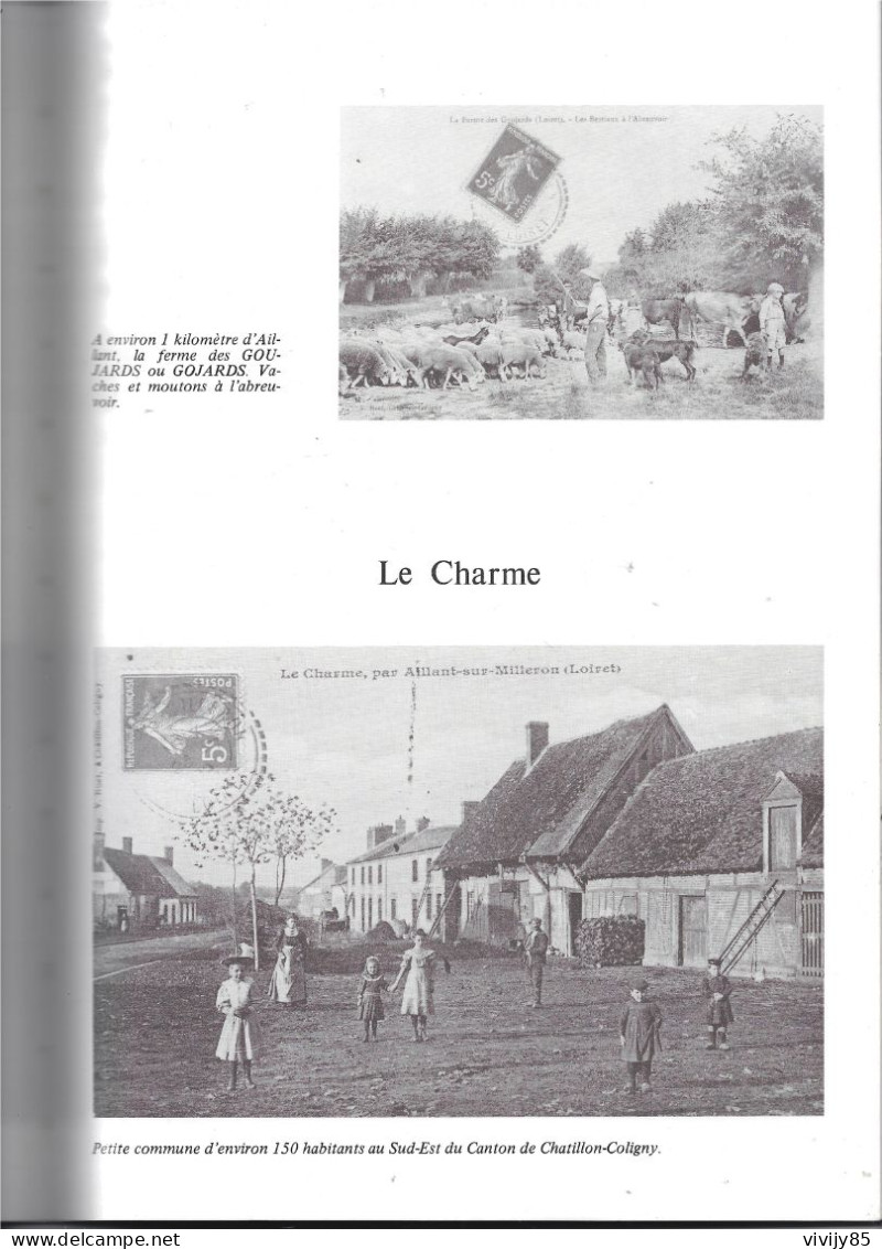 45 - Beau livre illustré de cartes postales " Balades aux environs de CHATILLON-COLIGNY " - 1985