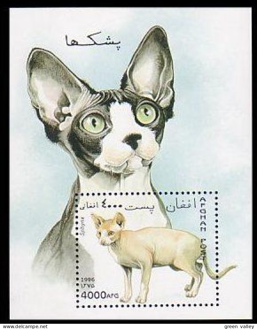 Afghanistan Chats Cats Katze MNH ** Neuf SC ( A53 393a) - Afghanistan