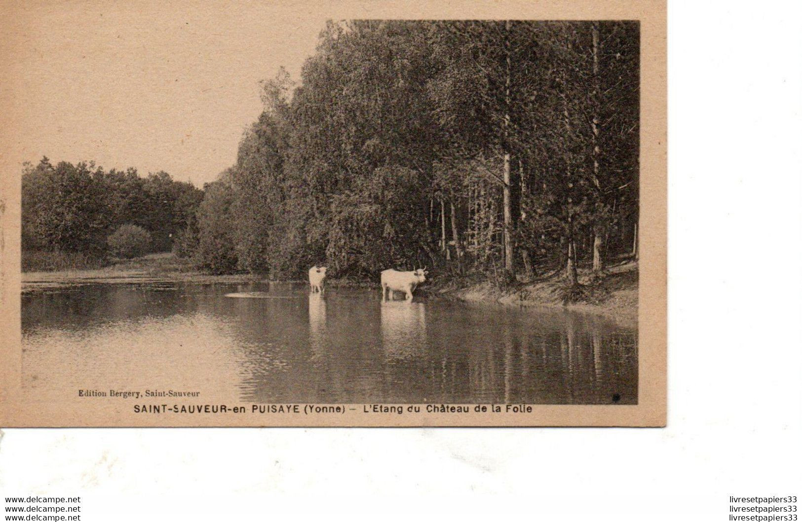 CPA (89) Saint Sauveur En Puysaye - L'Etang Du Château De La Folie - Saint Sauveur En Puisaye