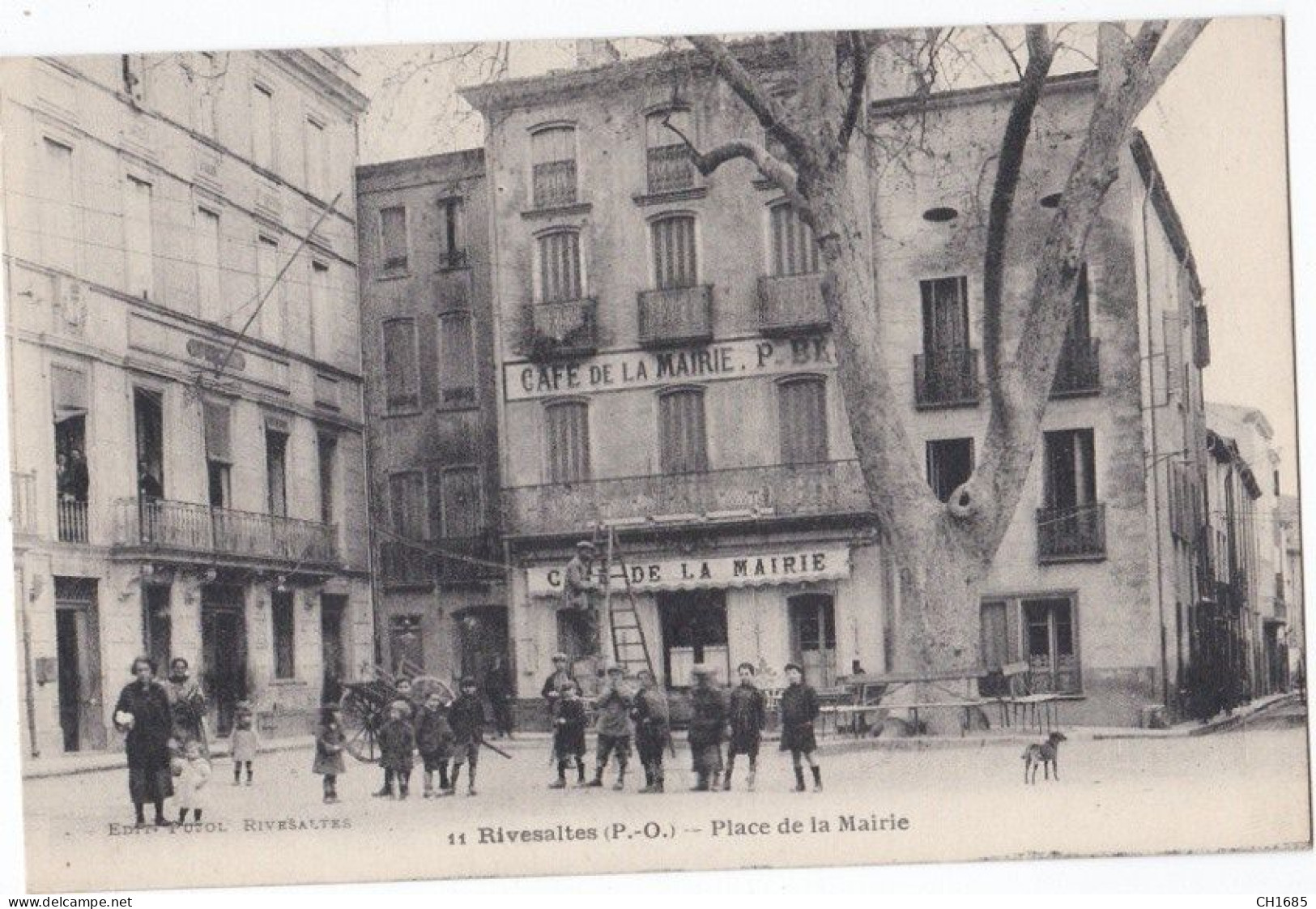 RIVESALTES (66) Enfants Et Ouvrier Sur Une échelle Devant Le Café De La Mairie - Rivesaltes