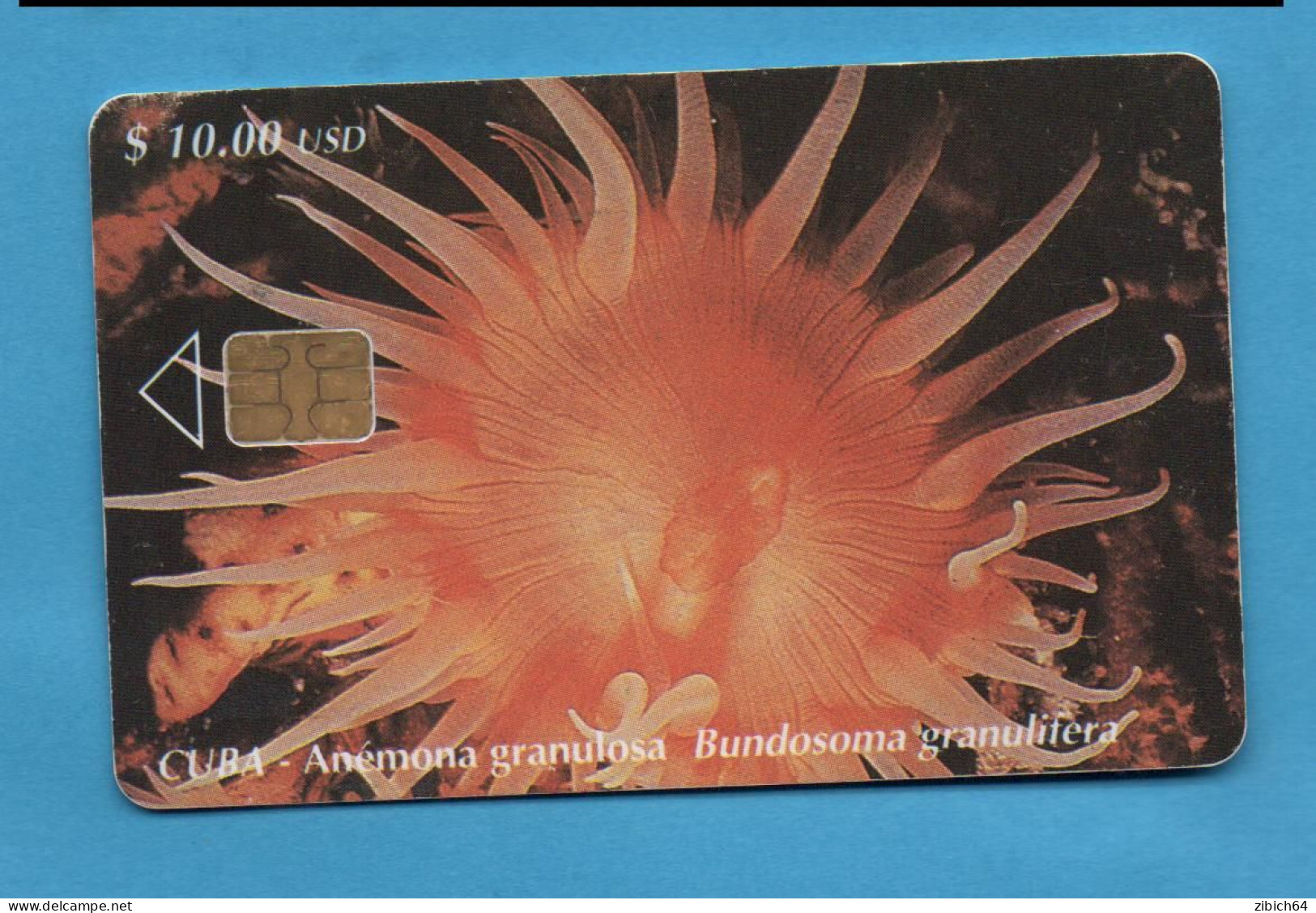 CUBA  Chip Phonecard - Kuba