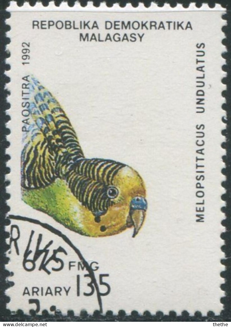 MADAGASCAR - Faune - Les Psittacidés - Melopsittacus Undulatus - Papagayos