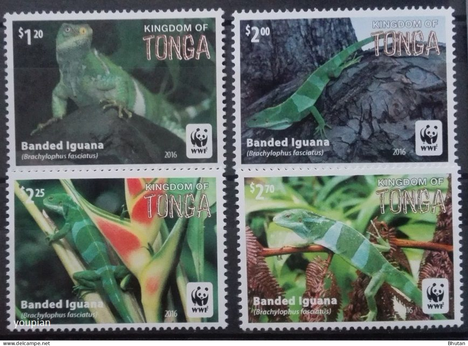 Tonga 2016, WWF - Banded Iguana, MNH Stamps Set - Tonga (1970-...)