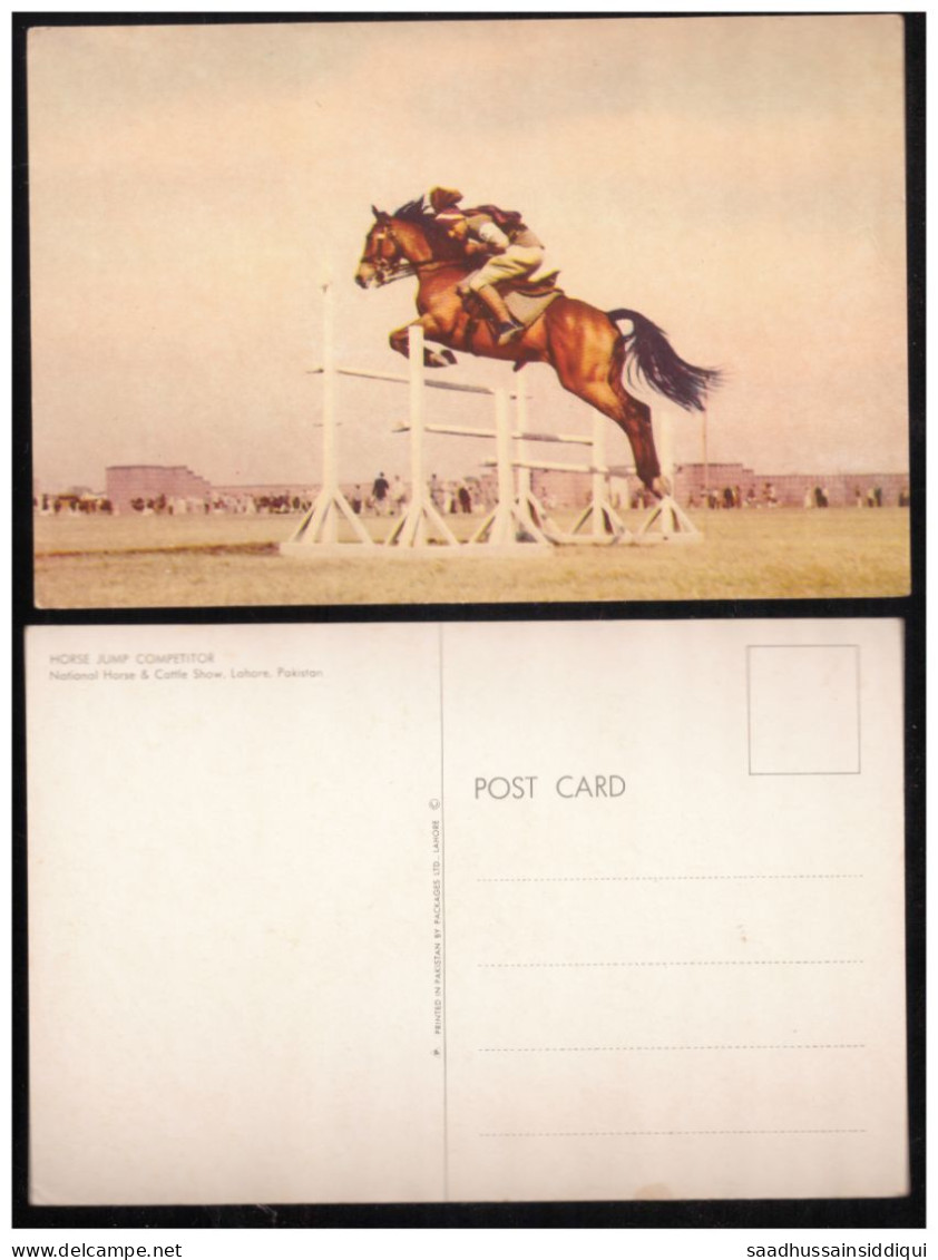 PAKISTAN POSTCARD , VIEW CARD NATIONAL HORSE & CATTLE SHOW LAHORE ( 5  ) - Pakistan