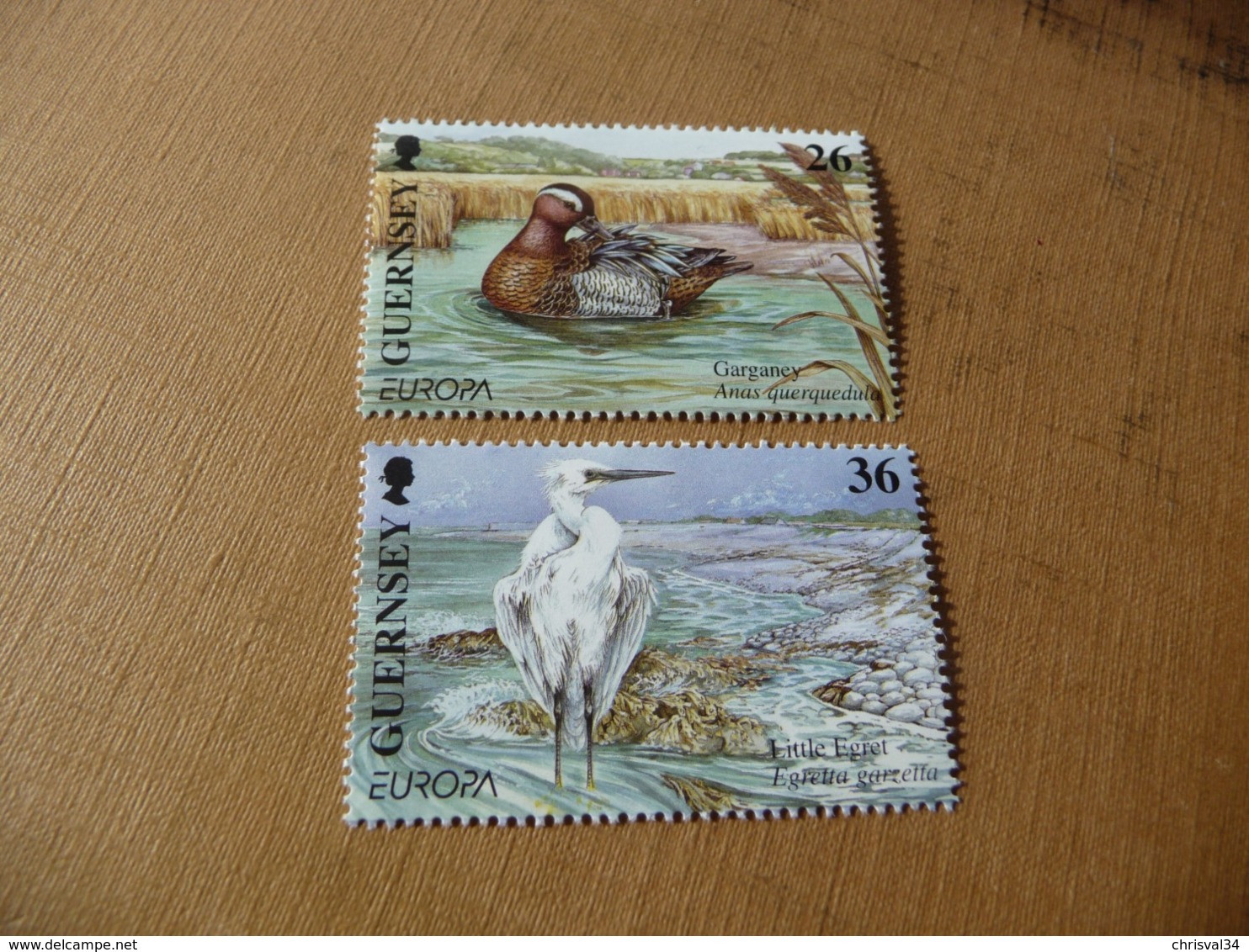 TIMBRES   GUERNESEY   EUROPA   2001     N  891 / 892   COTE  4,00  EUROS   NEUFS  LUXE** - 2001