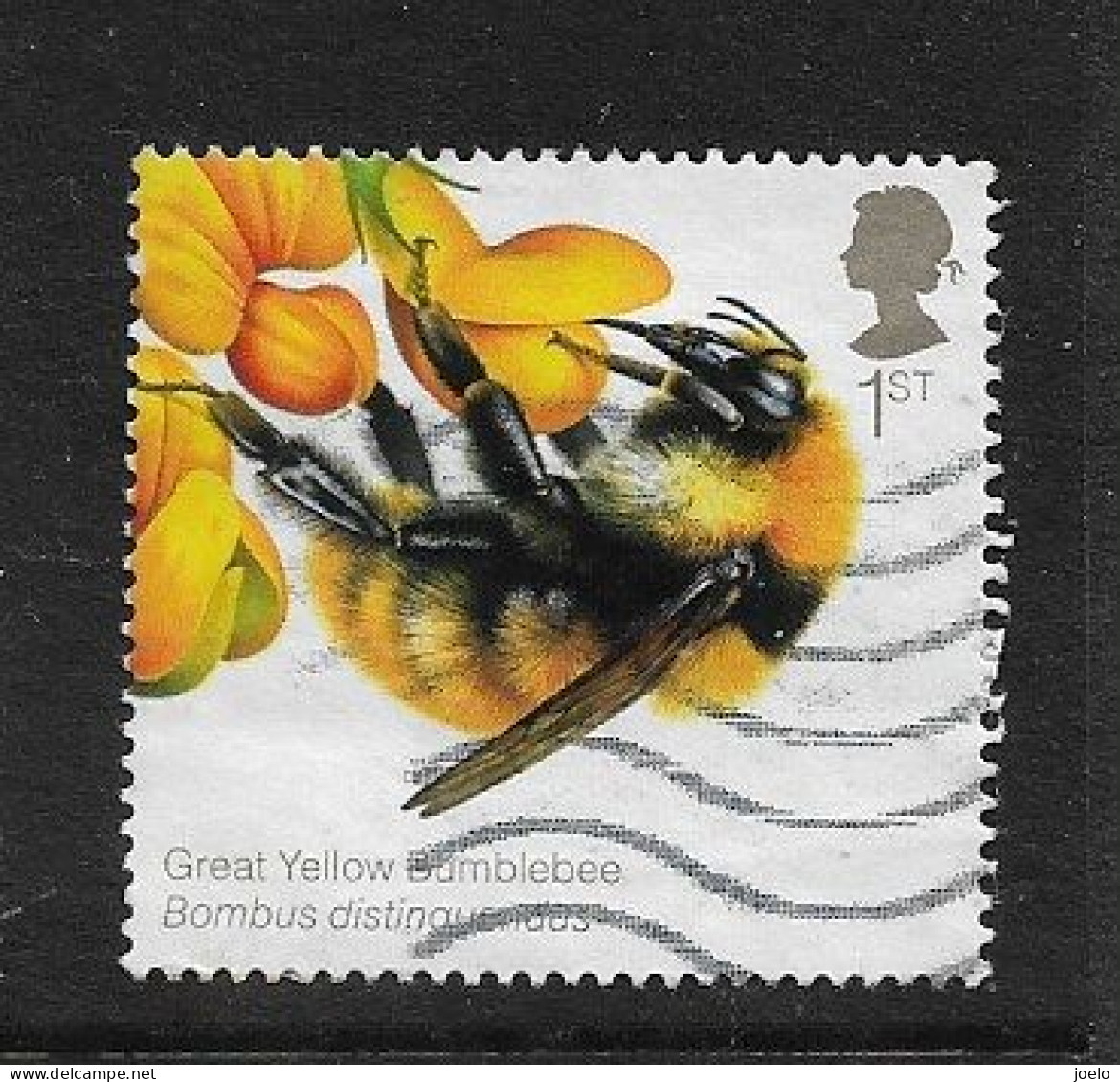 GB 2015 QE Ll GREAT YELLOW BUMBLE BEE - Gebraucht