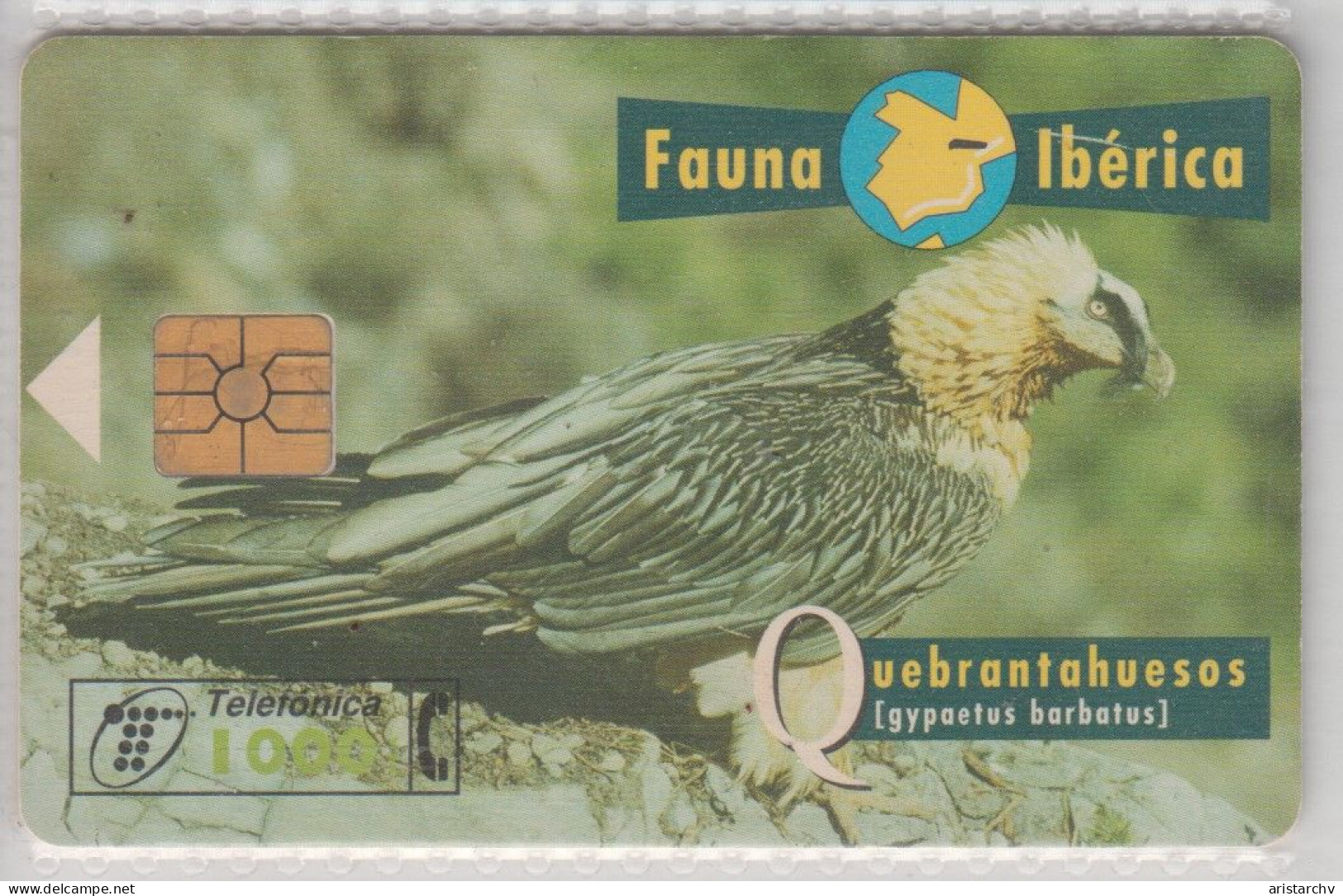 SPAIN 1996 FAUNA IBERICA BIRD QUEBRANTAHUESOS LAMMERGEIER - Eagles & Birds Of Prey