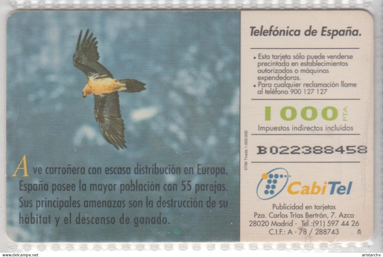 SPAIN 1996 FAUNA IBERICA BIRD QUEBRANTAHUESOS LAMMERGEIER - Adler & Greifvögel