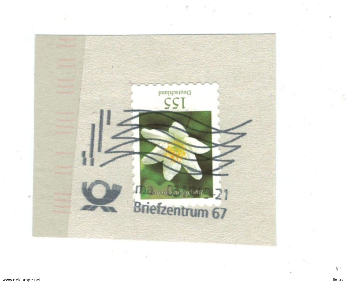 BST BZ 67 2021 Buschwindröschen Anemone Nemorosa - Covers & Documents