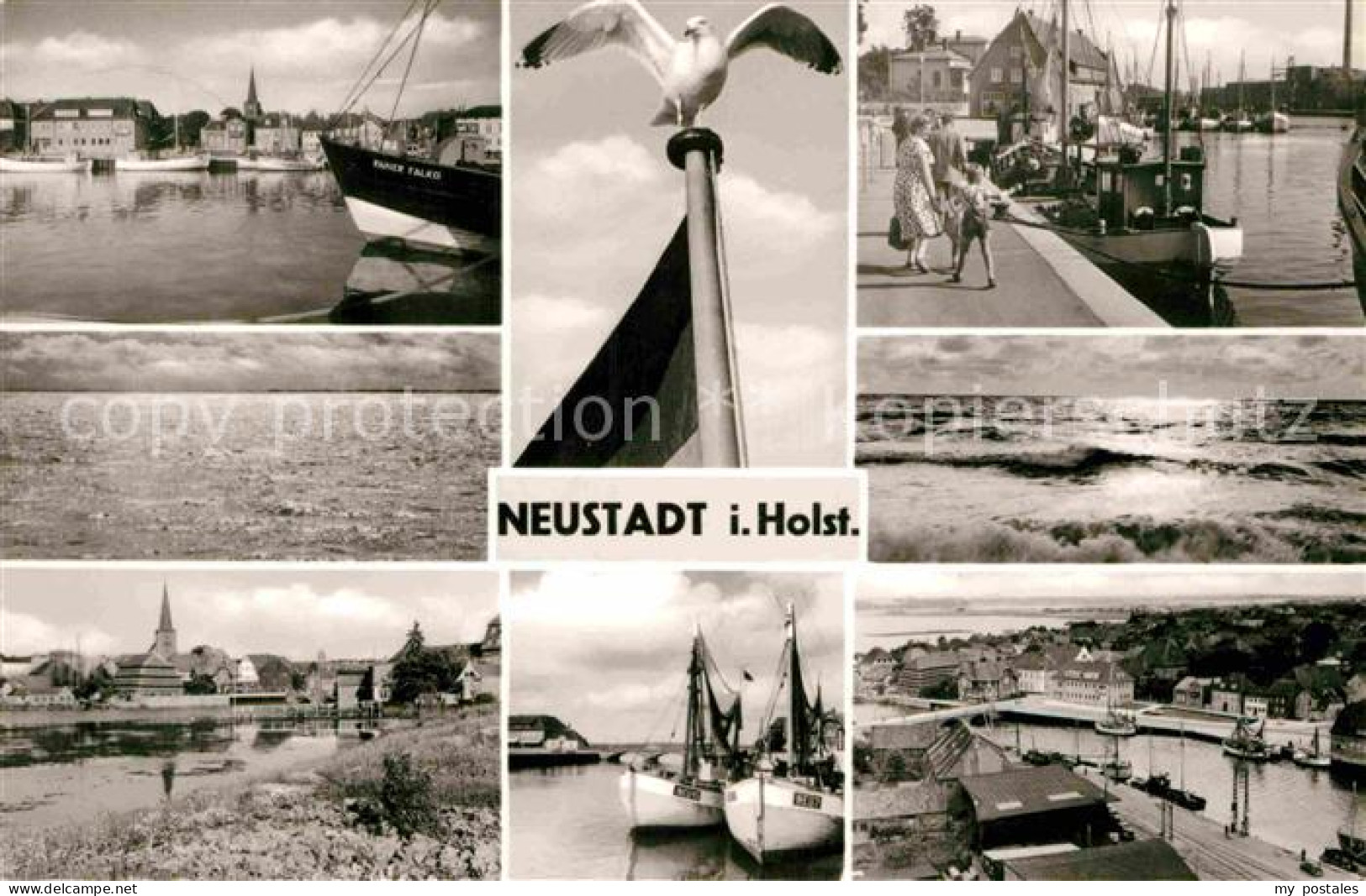 72822352 Neustadt Holstein Hafen Fischkutter Moewe Strand Neustadt In Holstein - Neustadt (Holstein)