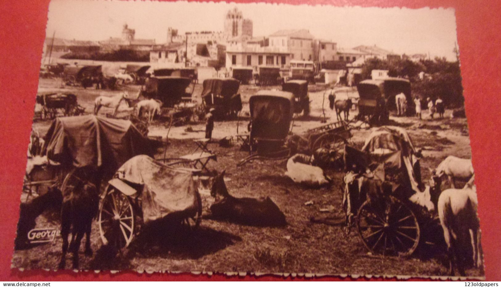 13 SAINTES MARIES DE LA MER CAMPEMENT BOHEMIENS CAMARGUE PROVENCE  PHOTO GEORGE - Saintes Maries De La Mer