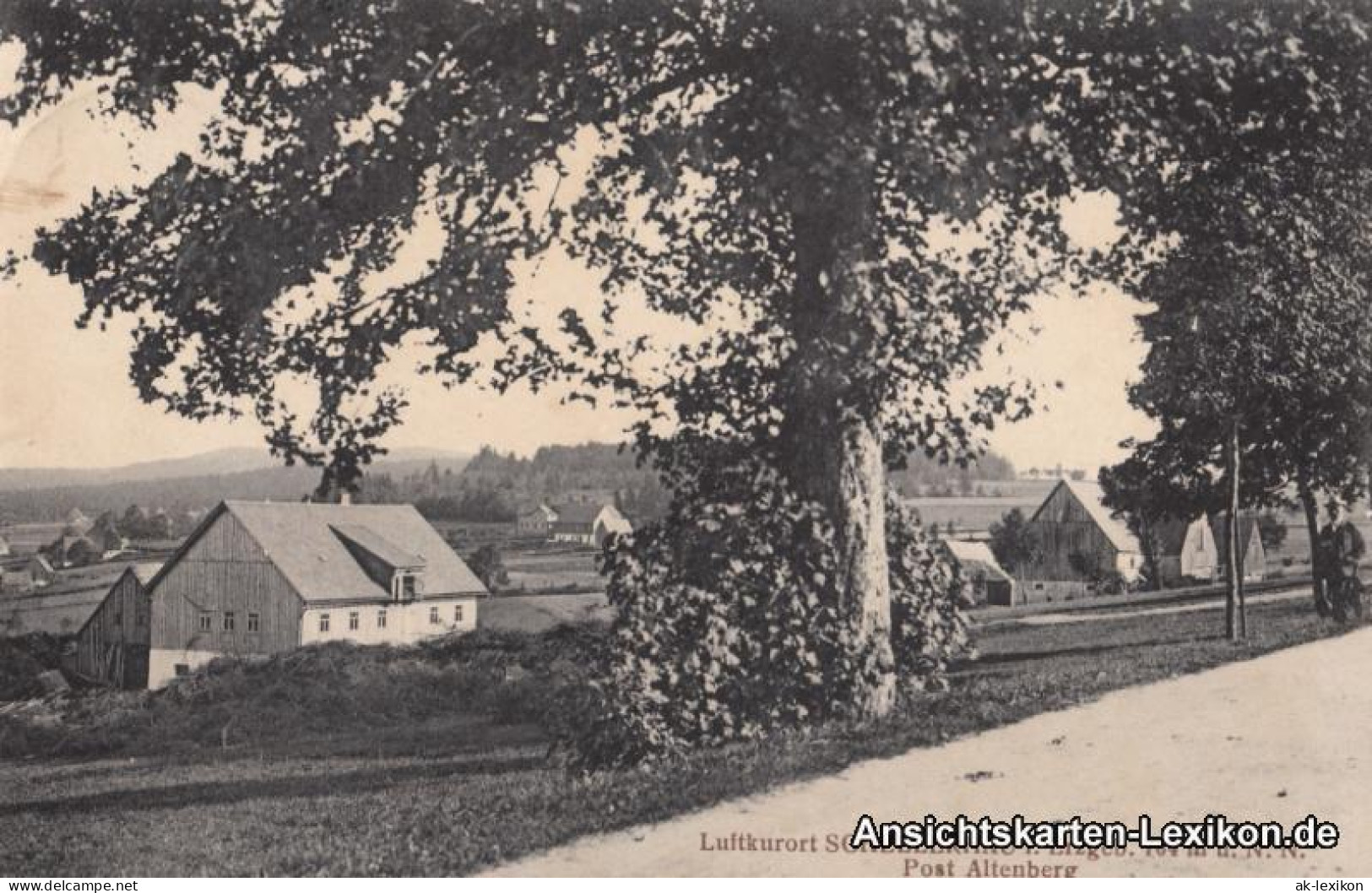 Ansichtskarte Schellerhau-Altenberg (Erzgebirge) Ortsansicht 1919 - Schellerhau