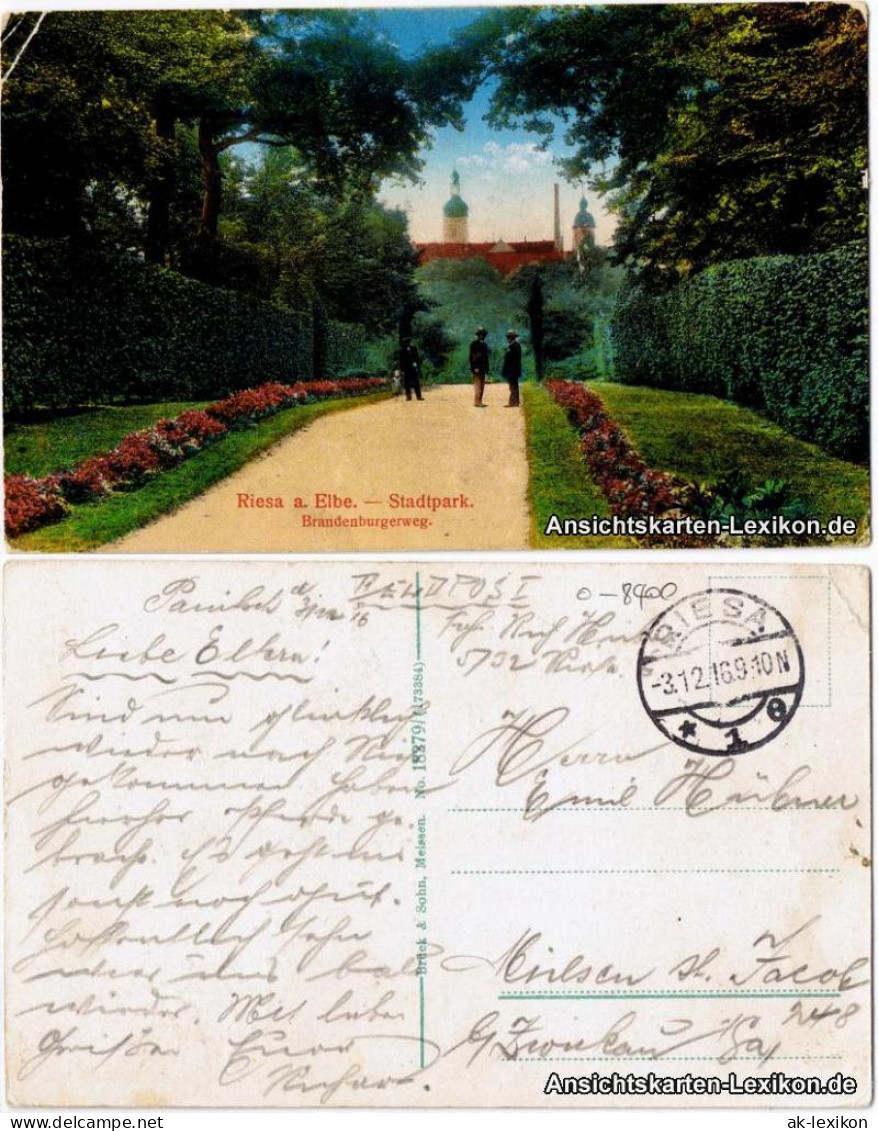 Ansichtskarte Riesa Stadtpark - Brandenburgerweg 1916 - Riesa