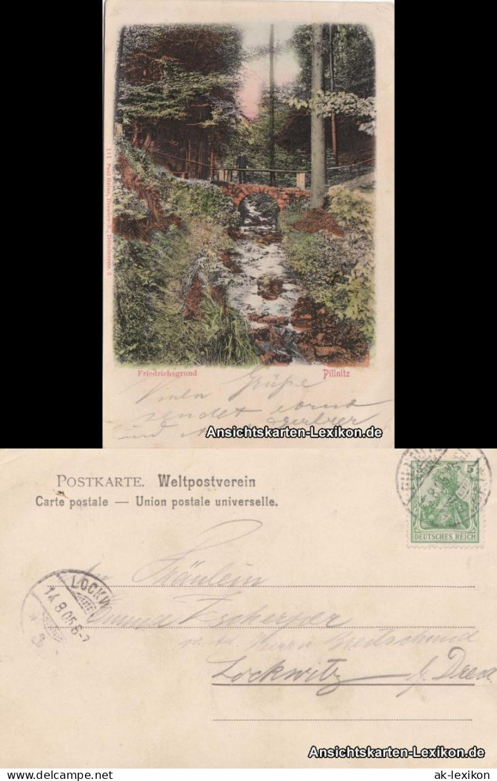 Ansichtskarte Pillnitz Friedrichgrund - Colorierte AK 1905 - Pillnitz