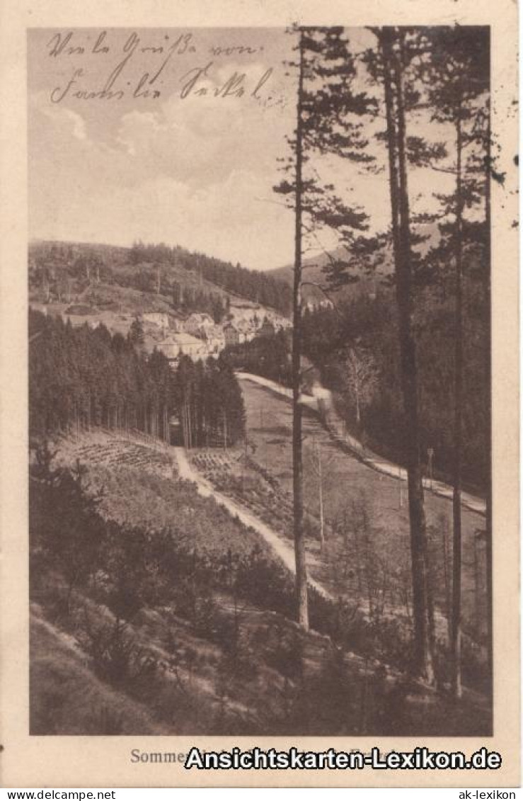 Ansichtskarte Dönschten-Dippoldiswalde Blick Auf... 1930 - Schmiedeberg (Erzgeb.)