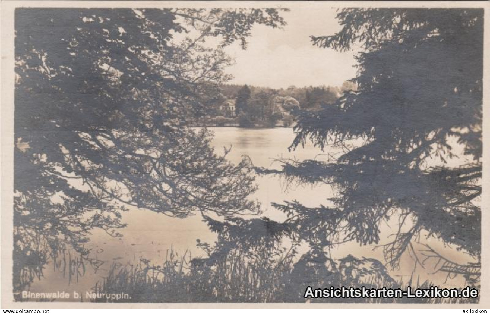 Ansichtskarte Binenwalde-Neuruppin Panorama 1928 - Neuruppin