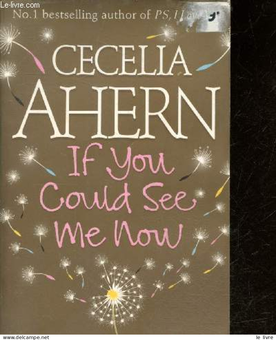If You Could See Me Now - Cecelia Ahern - 2005 - Language Study