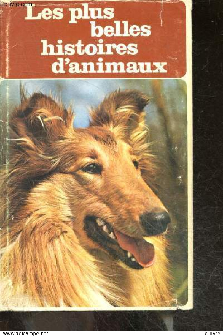 Les Plus Belles Histoires D'animaux - Choix De Recits Captivants - COLLECTIF - 1971 - Language Study