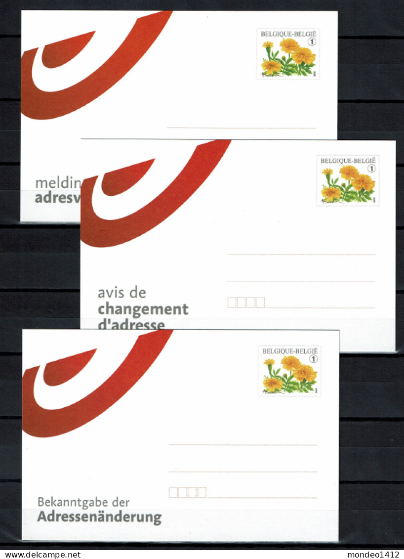 2008 - 3 Briefkaarten  - N-F-D - Adresverandering, Avis De Changement D'adresse - Bloem Tagetes - Ongebruikt - Adreswijziging