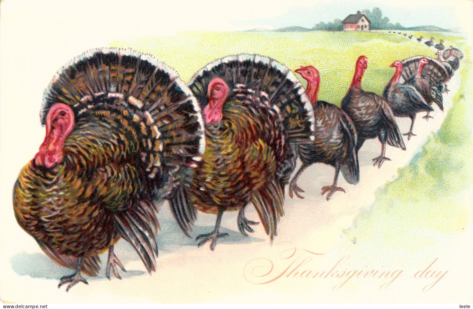 BW55. Vintage Tucks Postcard. Thanksgiving.  Line Of Turkeys Leaving The Farm - Giorno Del Ringraziamento