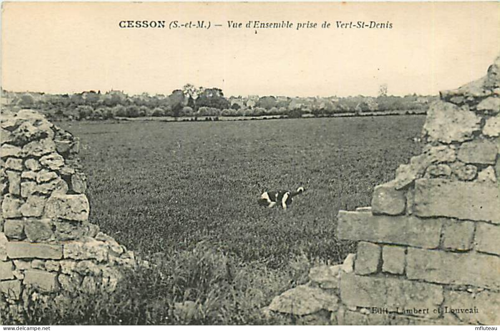 77* CESSON  Vue Generale  Prise De Vert St Denis            RL08.0382 - Cesson