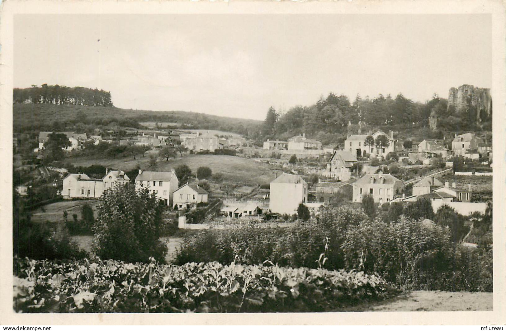 85* POUZAUGES  Vue Sur Le Chateau   (CPSM 9x14cm)  RL13.0477 - Pouzauges