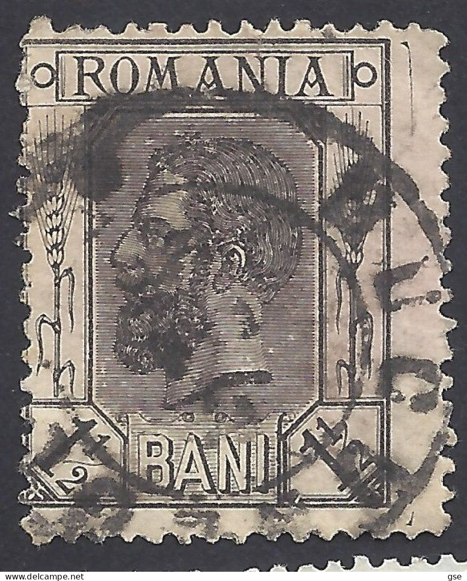 ROMANIA 1893-9 - Yvert 100° - Carol I | - Usati