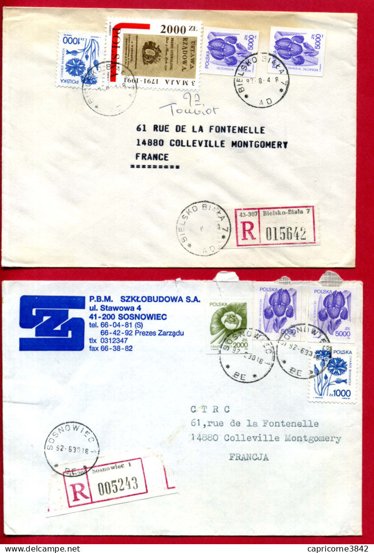 1992 - 2 Lettres Recommandées Pour La France - PLANTES OFFICINALES N°3058 - 3082 - 3083 - Cartas & Documentos