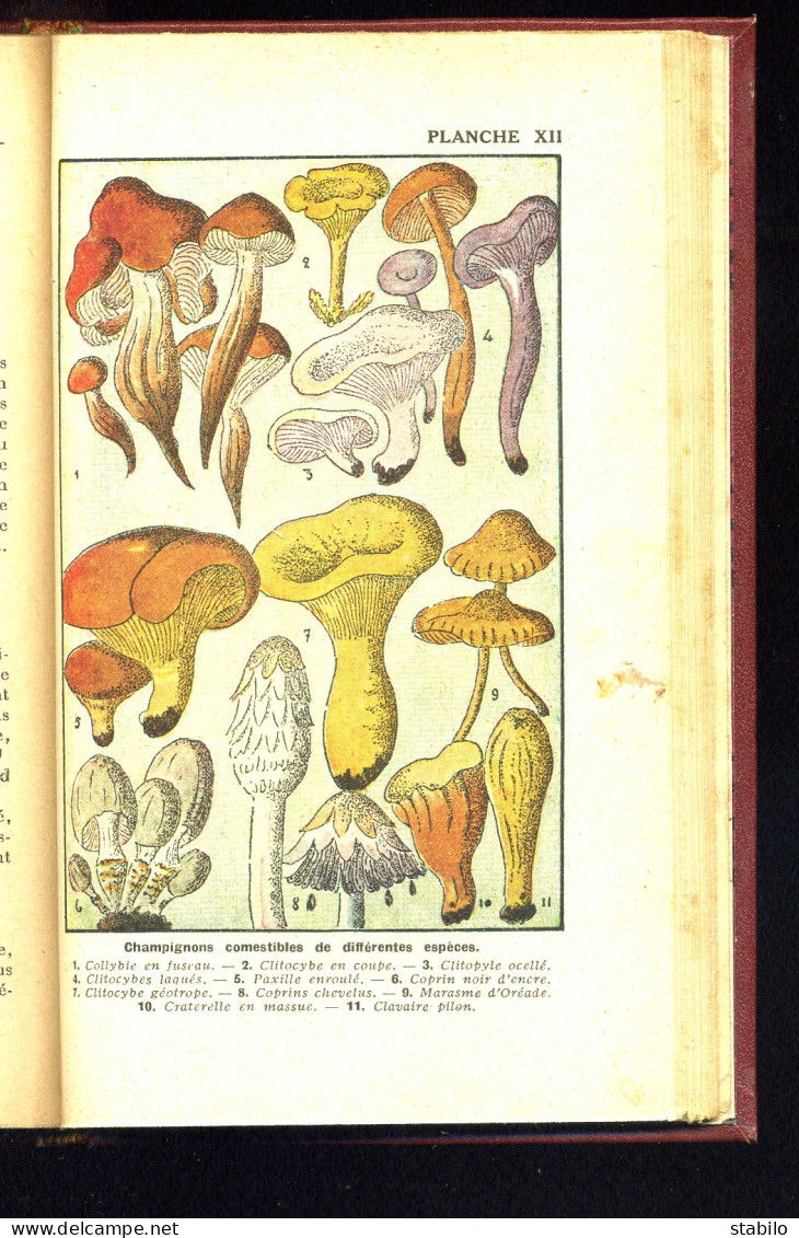 BONS ET MAUVAIS CHAMPIGNONS PAR O. FOUCHER - EDITIONS RUSTICA - PLANCHES ET TEXTE - Chasse/Pêche