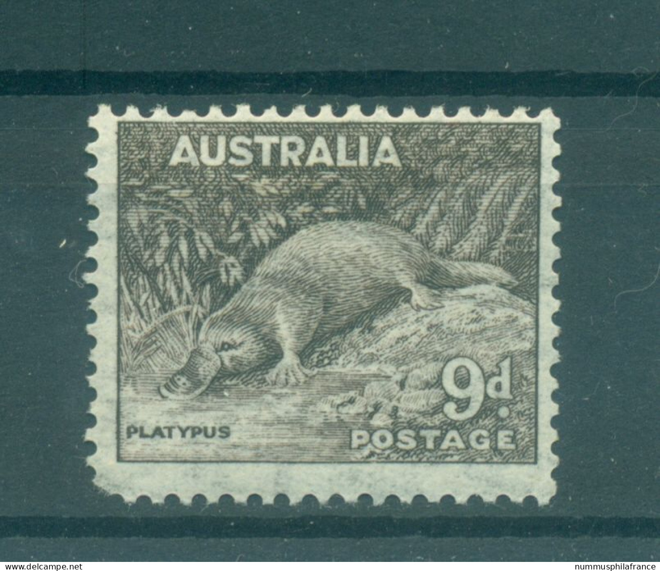 Australie 1937-38 - Y & T N. 117 (A) - Série Courante (Michel N. 147 C) - Ongebruikt