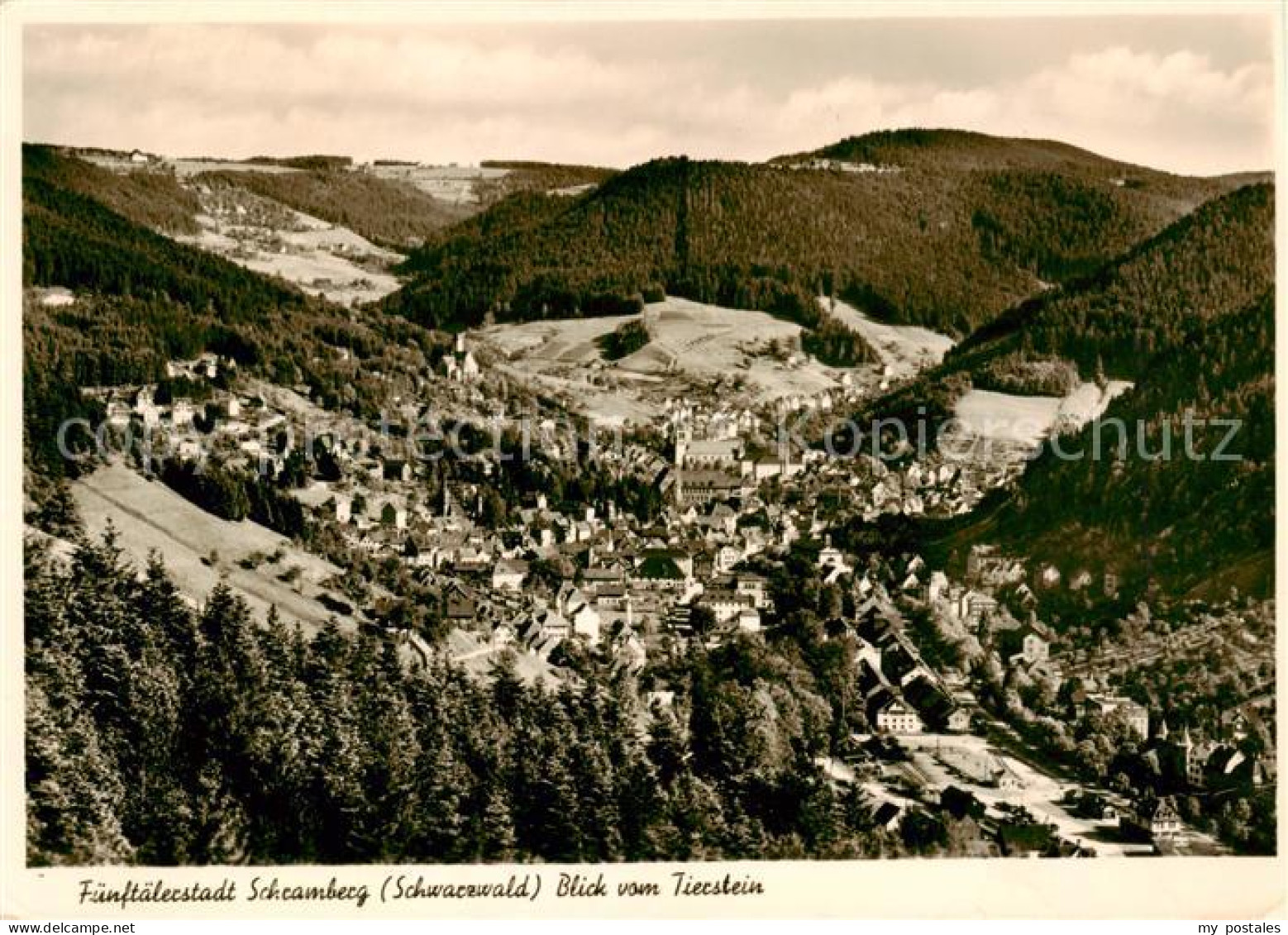 73844451 Schramberg Blick Vom Tierstein Schramberg - Schramberg