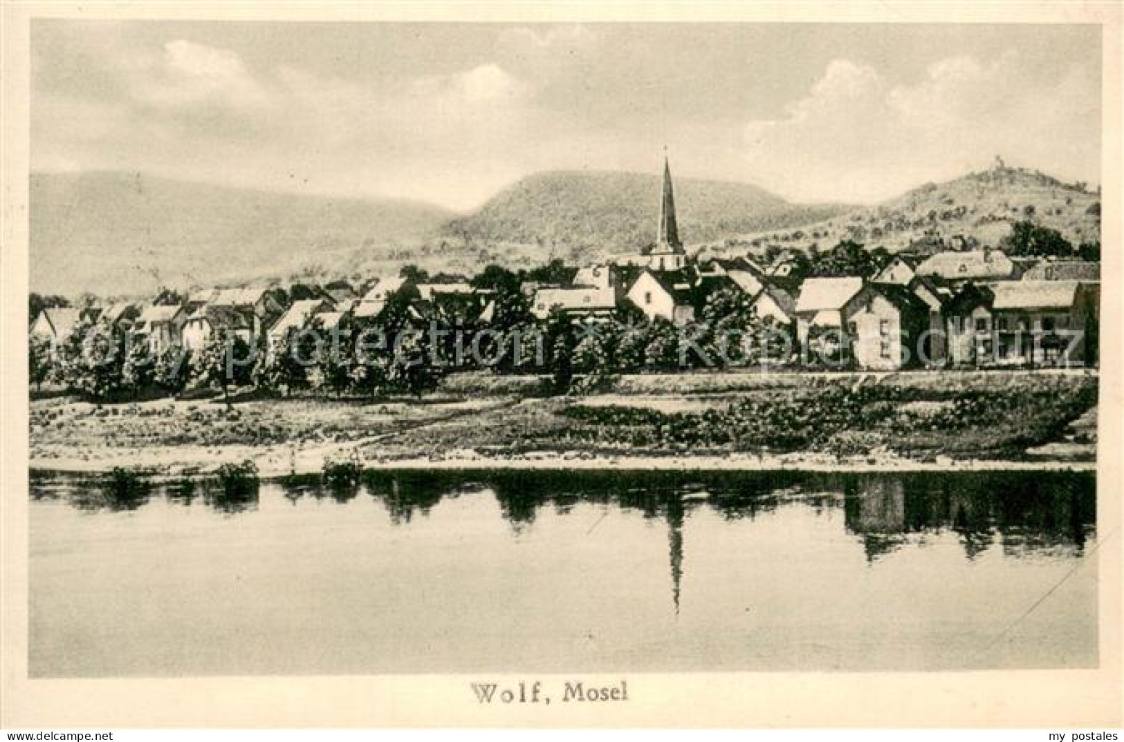 73772644 Wolf Mosel Traben-Trarbach Moselpartie  - Traben-Trarbach