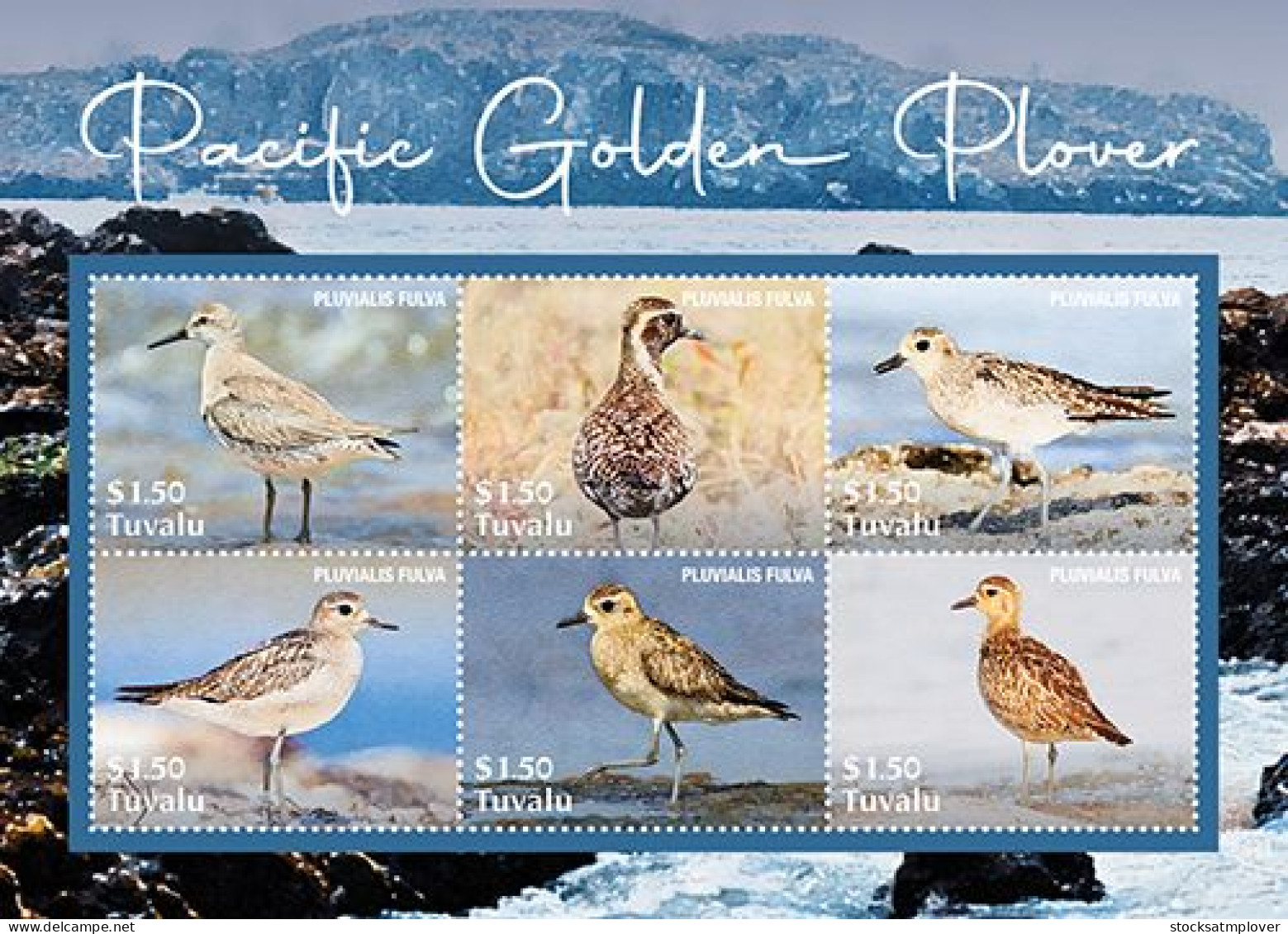 Tuvalu 2023 Birds Pacific Golden Plover Sheetlet Of 6 I202401 - Tuvalu