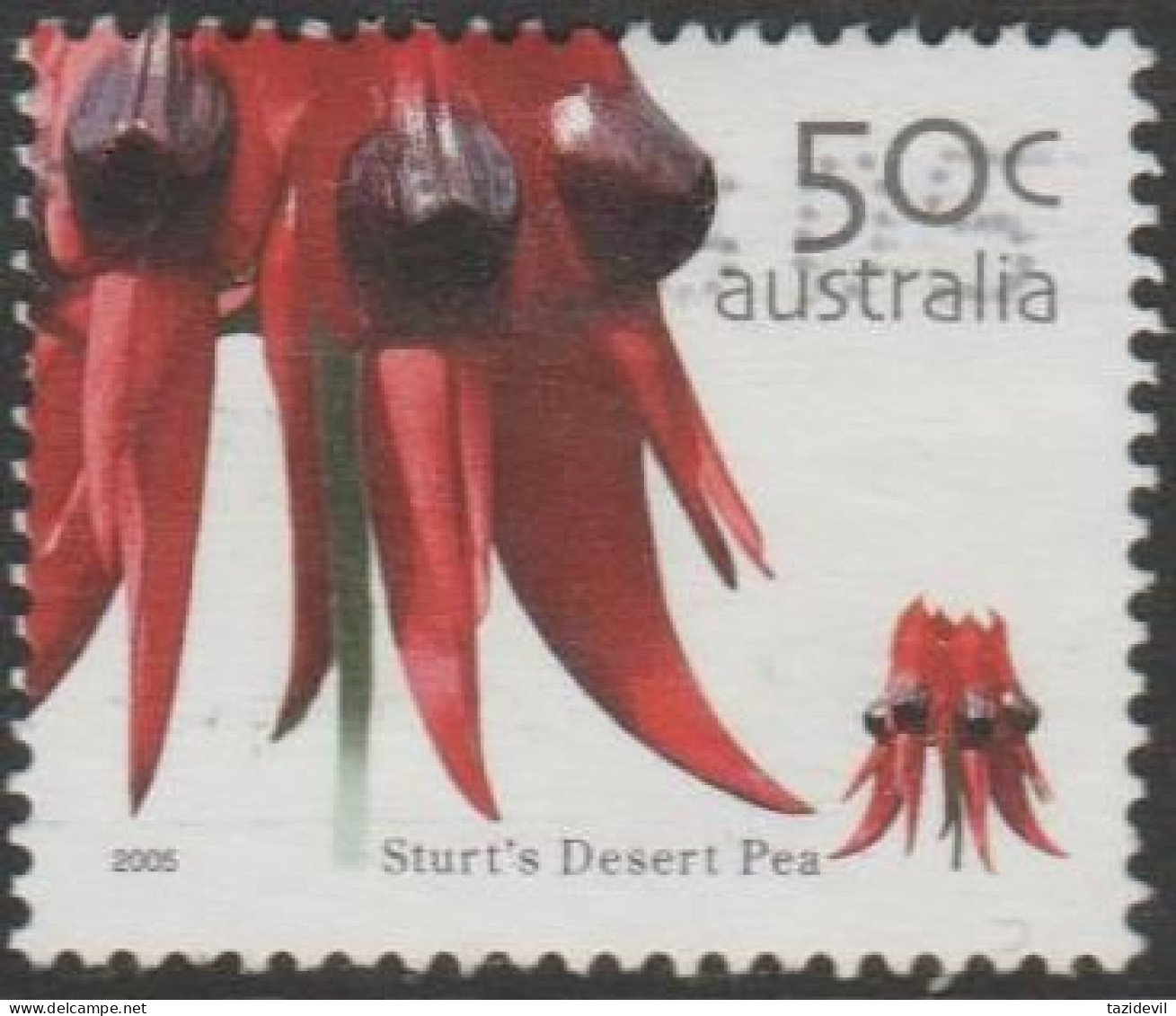 AUSTRALIA - USED - 2005 50c Wildflowers - Sturt's Desert Pea - Usados