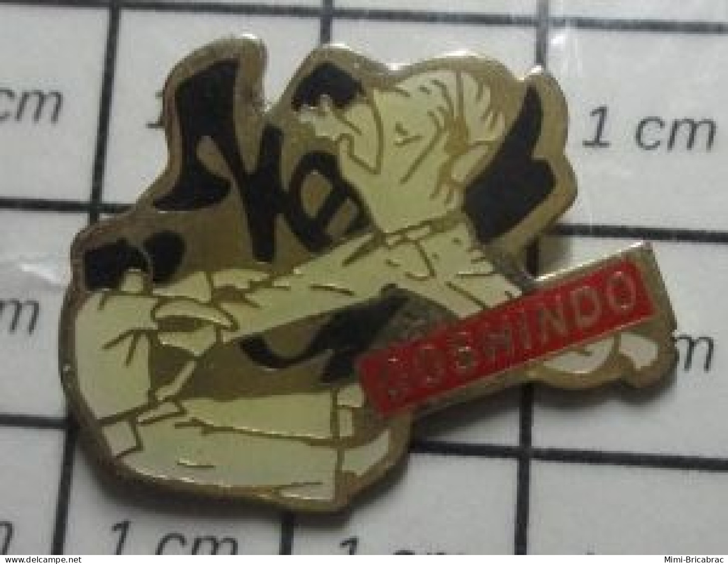 713M Pin's Pins / Beau Et Rare / SPORTS / KARATE GOSHINDO - Judo