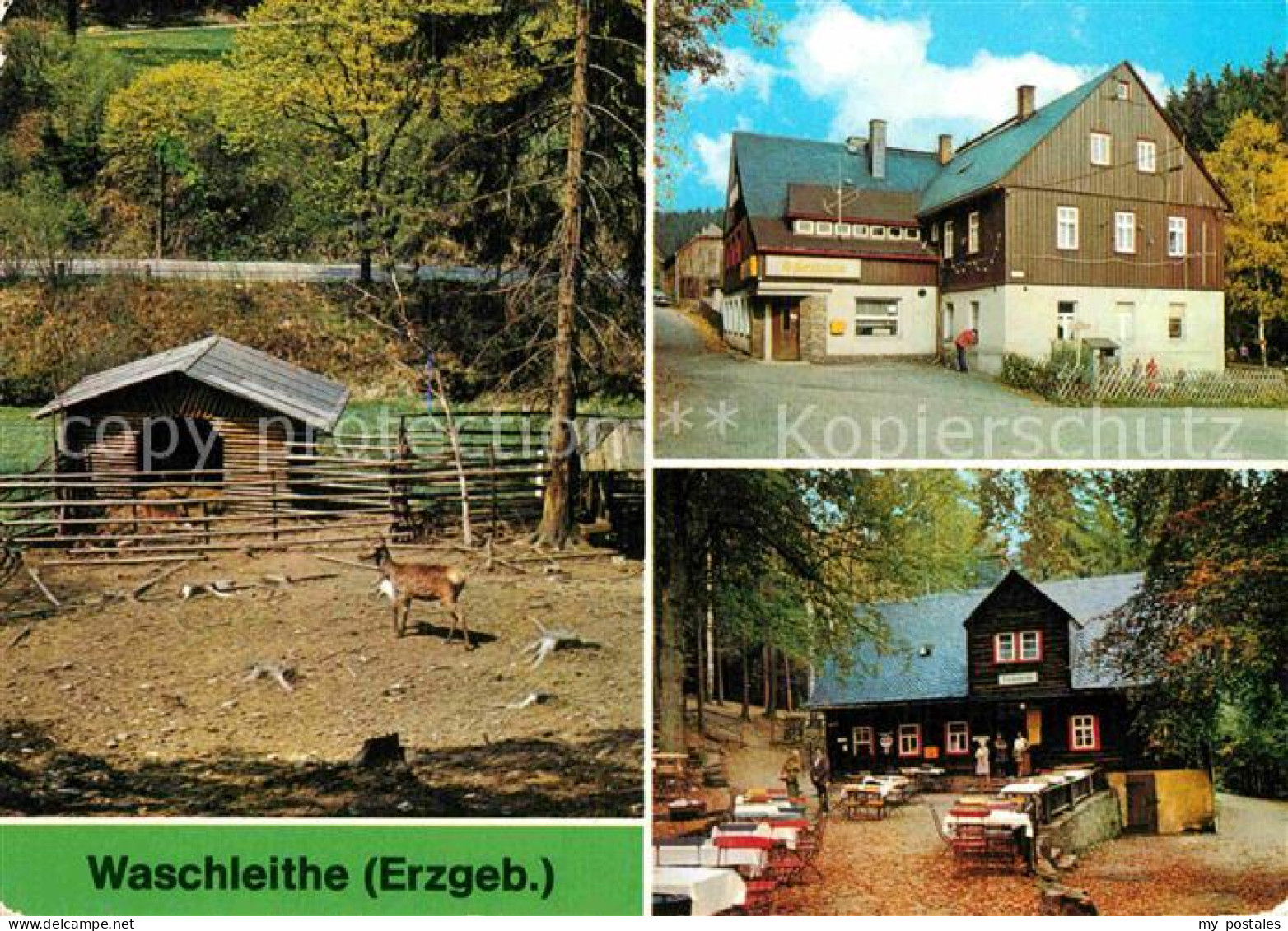 72919605 Waschleithe Tierpark Gaststaette Osterlamm Und Koehlerhuette Waschleith - Gruenhain