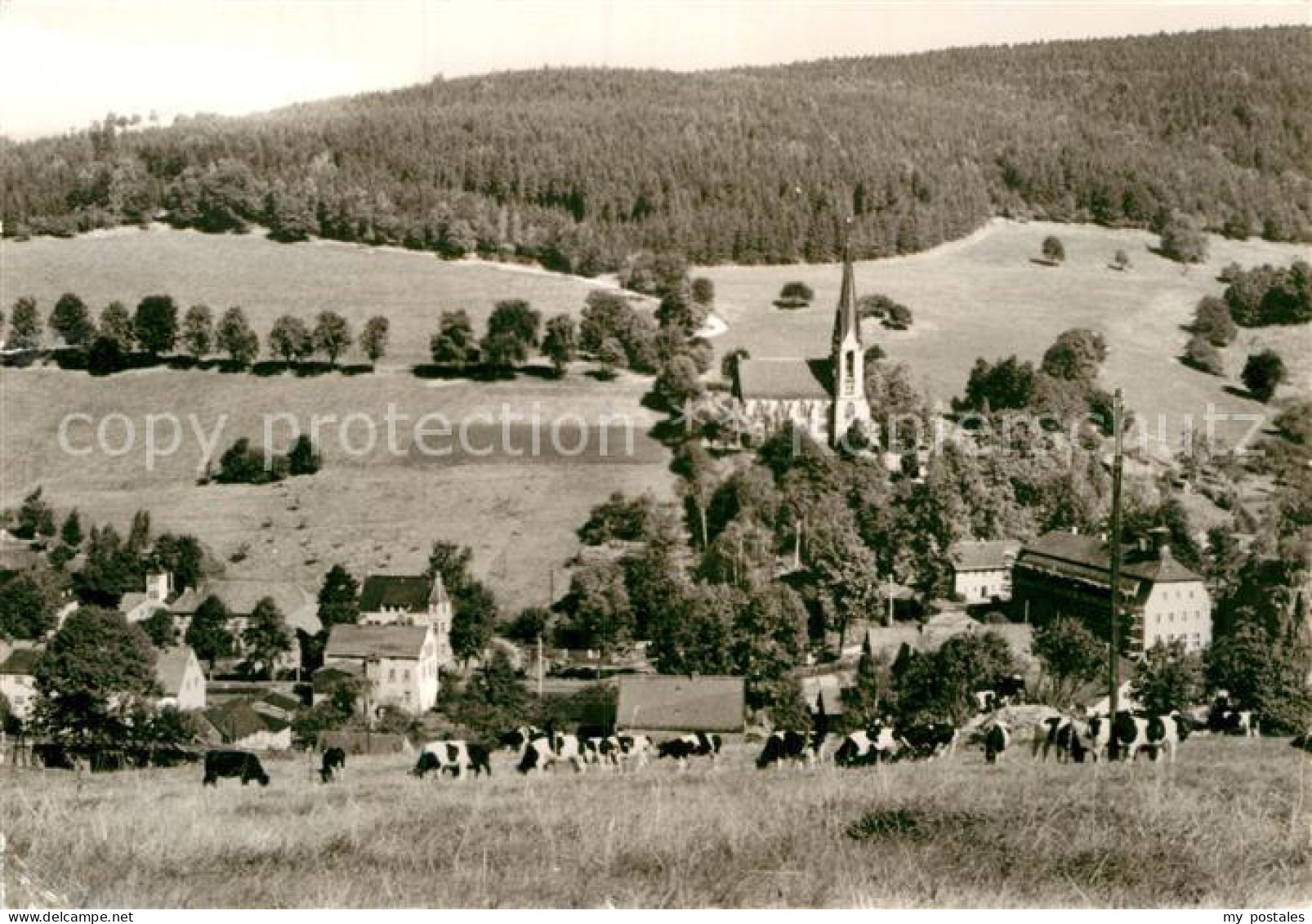 72917455 Rechenberg-Bienenmuehle Osterzgebirge  Rechenberg-Bienenmuehle - Rechenberg-Bienenmühle