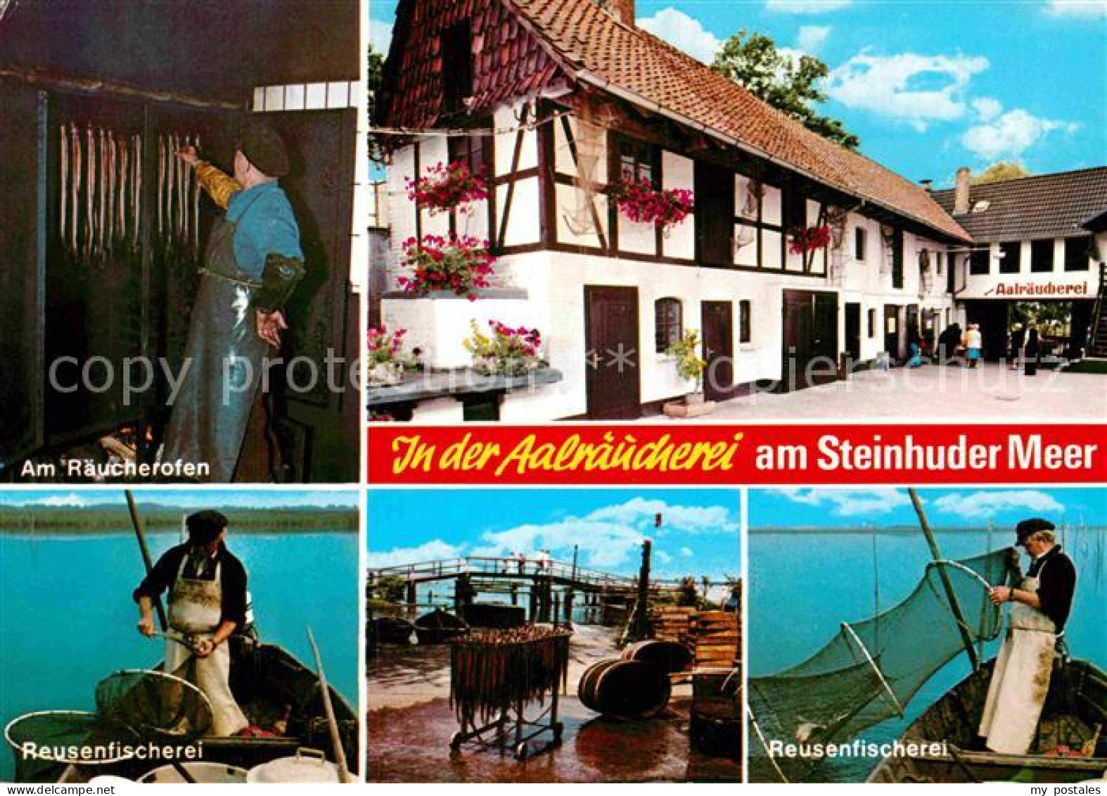 72914885 Steinhuder Meer Aalraeucherei Reusenfischerei Wunstorf - Steinhude