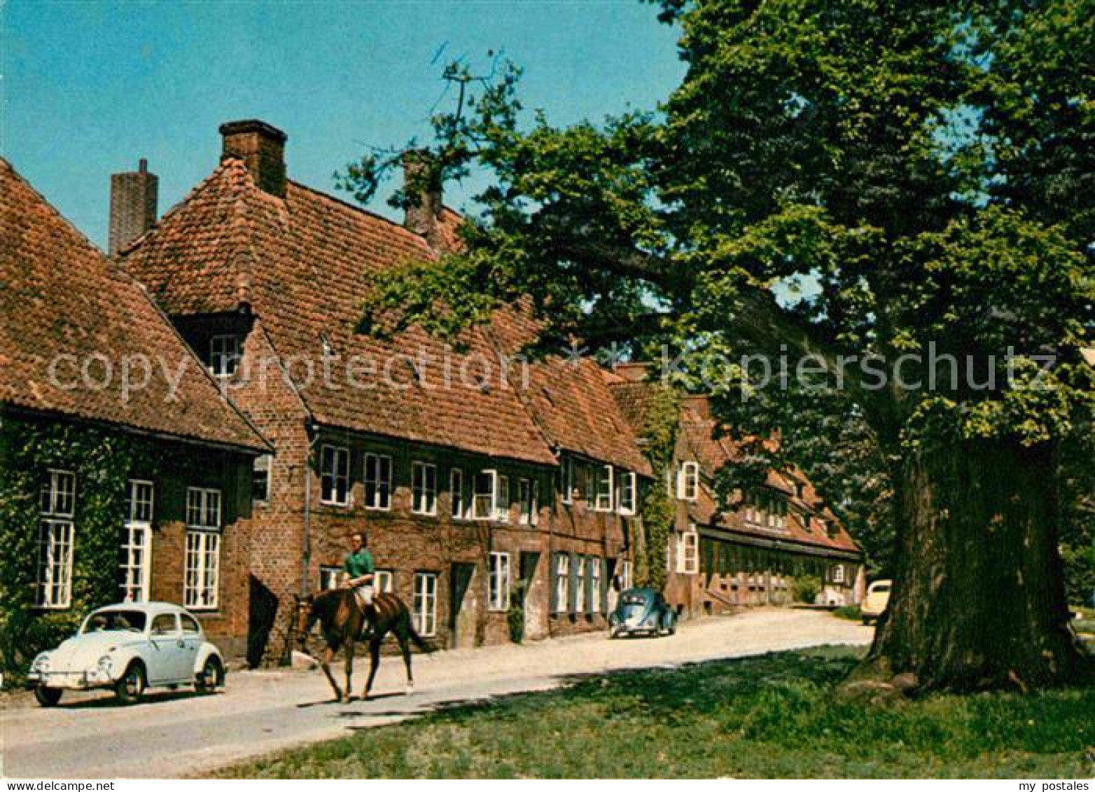 72914700 Preetz Holstein Kloster-Idyll Pferd Preetz Holstein - Preetz