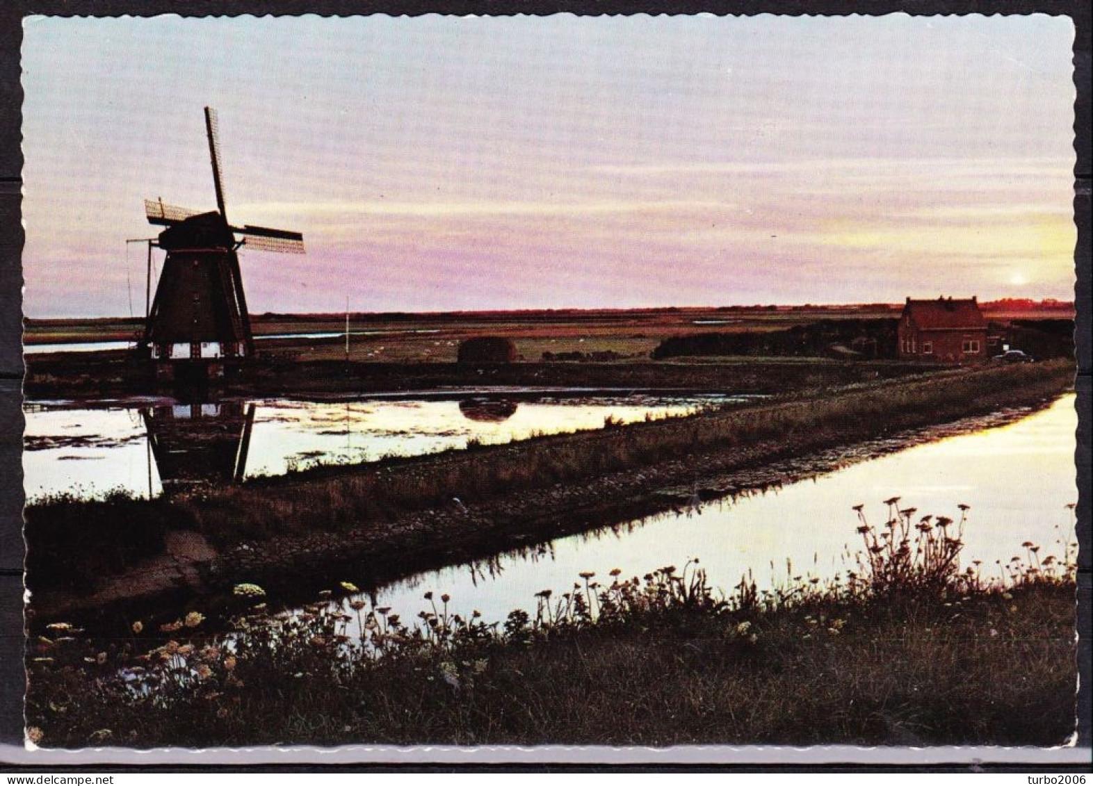 Ca 1976/2008 Texel (6x) En Terschelling (2x) 8 Kaarten In Kleur Waarvan 4 Gelopen - Texel