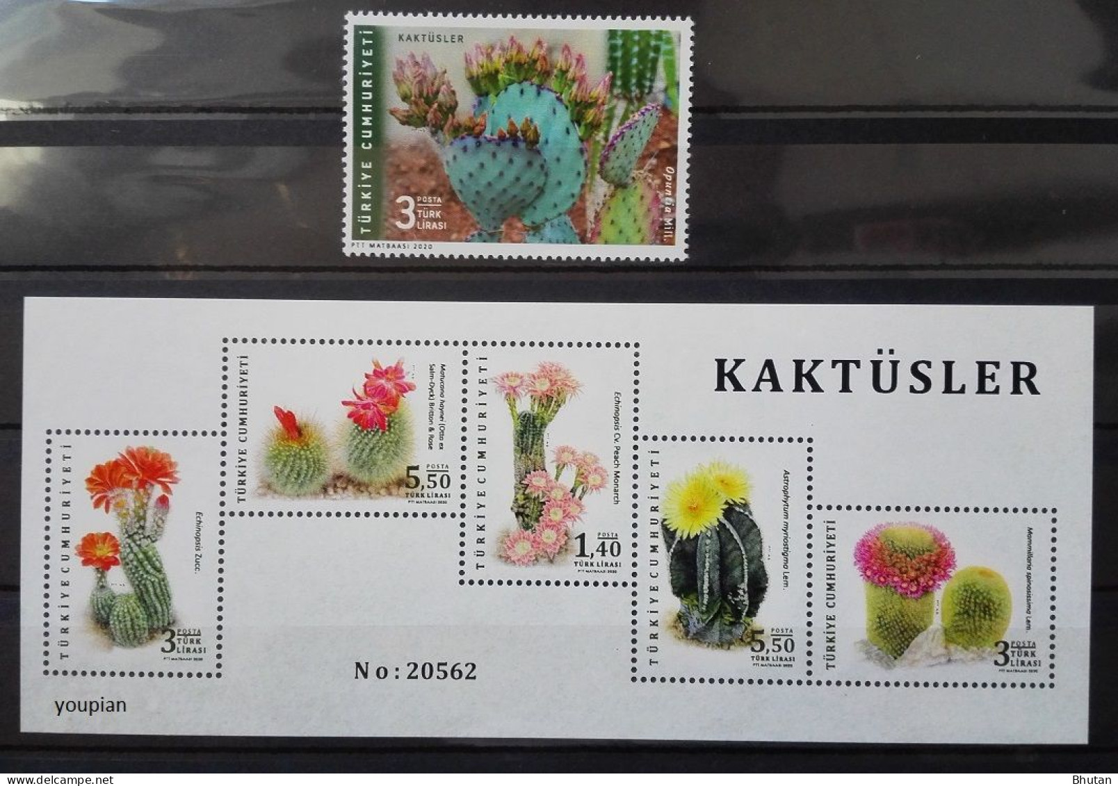 Türkiye 2020, Cacti, MNH S/S And Single Stamp - Unused Stamps