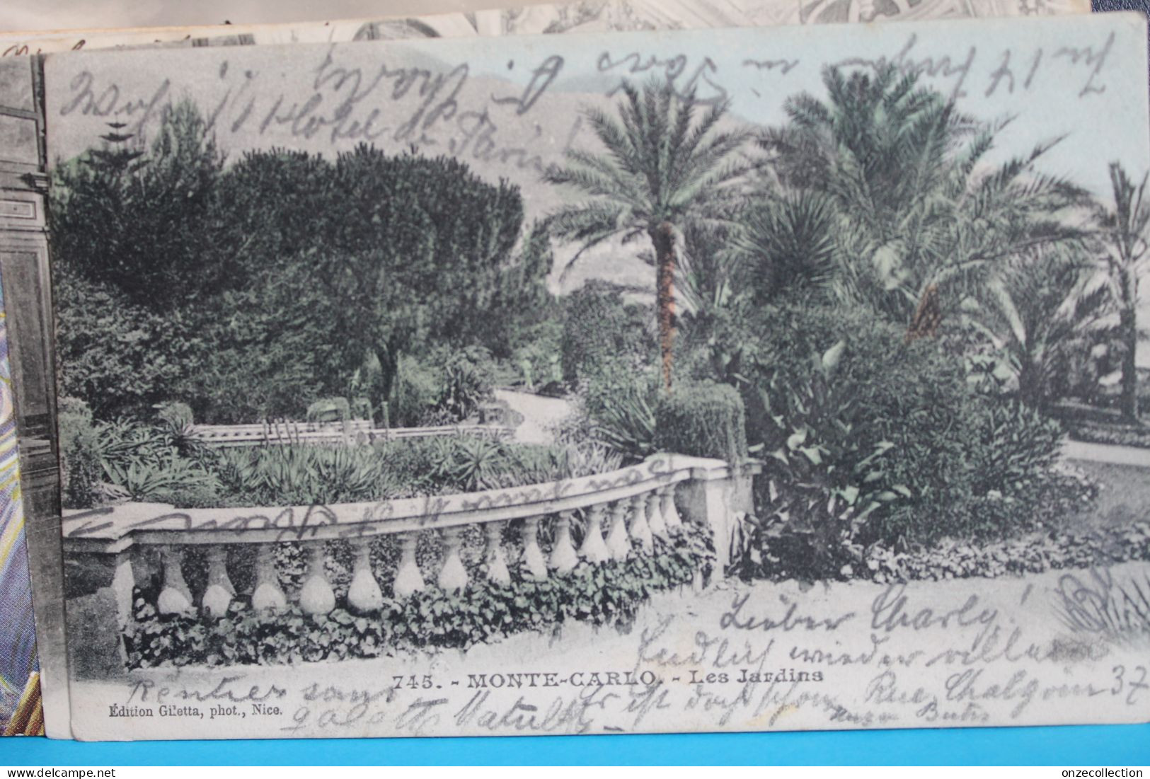 MONTE  CARLO       -    LES  JARDINS   1904    CARTE  DOS  UNI - Jardin Exotique