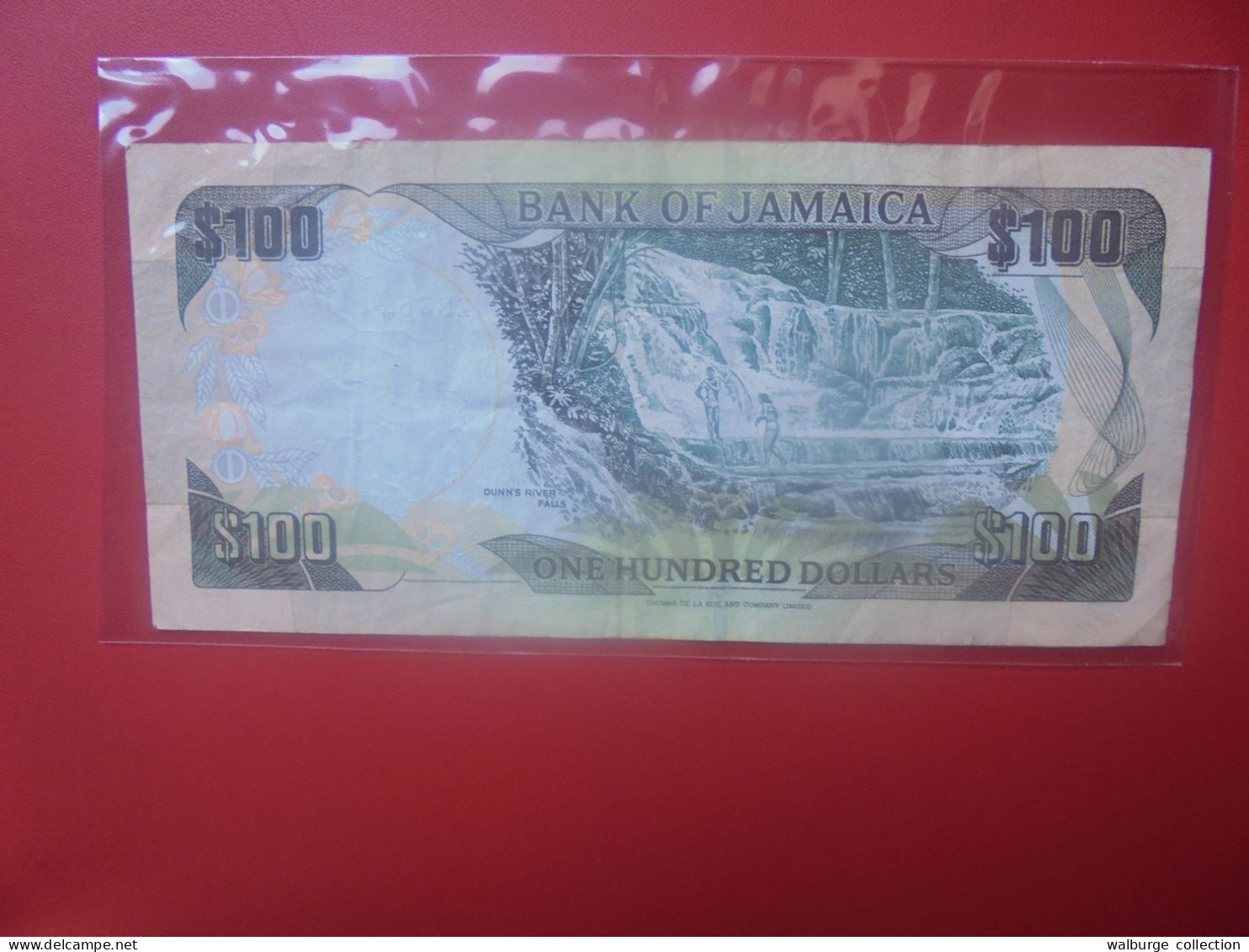 JAMAIQUE 100$ 2004 Circuler (B.33) - Jamaica