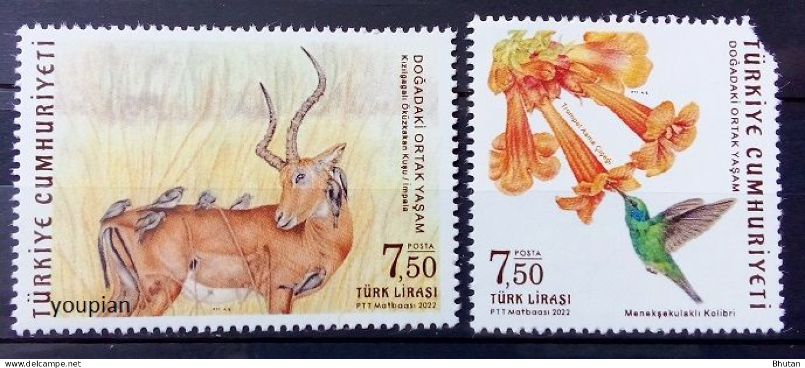 Türkiye 2022, Common Life In Nature, MNH Stamps Set - Corner Of One Stamp Is Teared! - Neufs