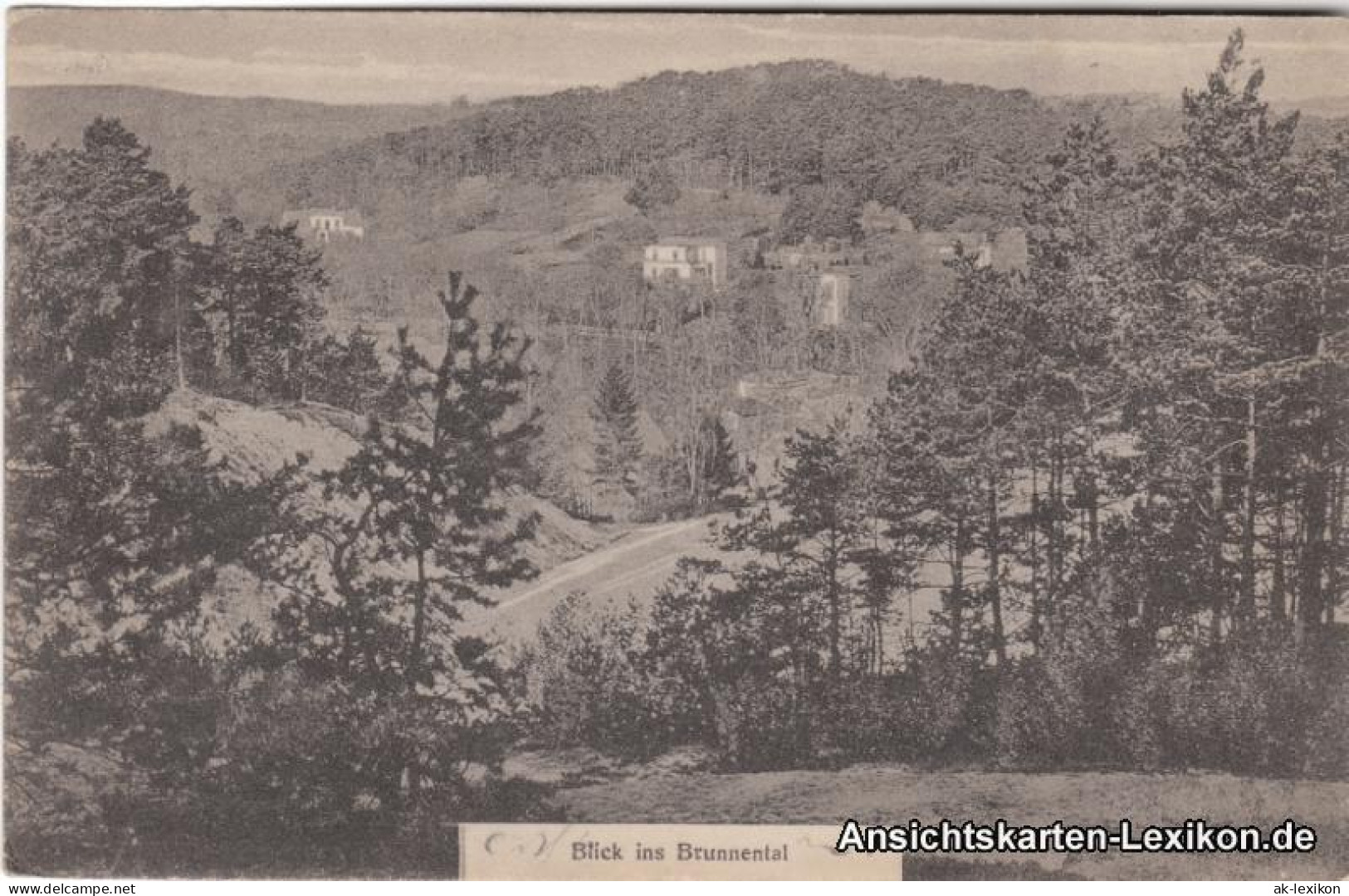 Ansichtskarte Bad Freienwalde Blick Ins Brunnental 1917 - Bad Freienwalde